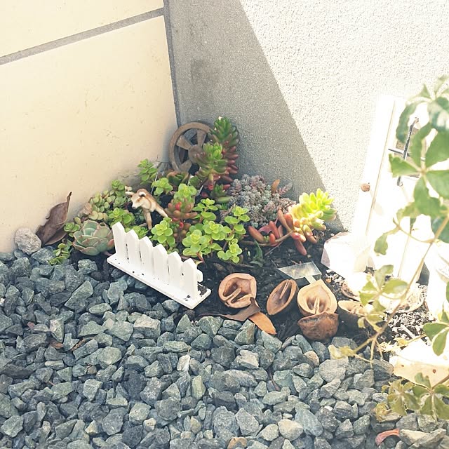 askさんの実例写真