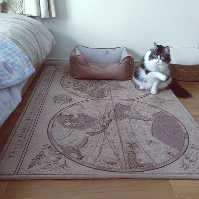 +CHIHARU+さんの実例写真