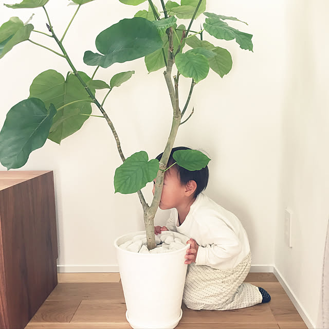 Kanamaruさんの実例写真