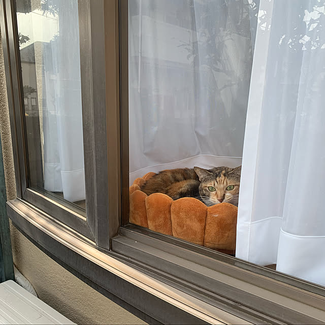 maltaさんの実例写真