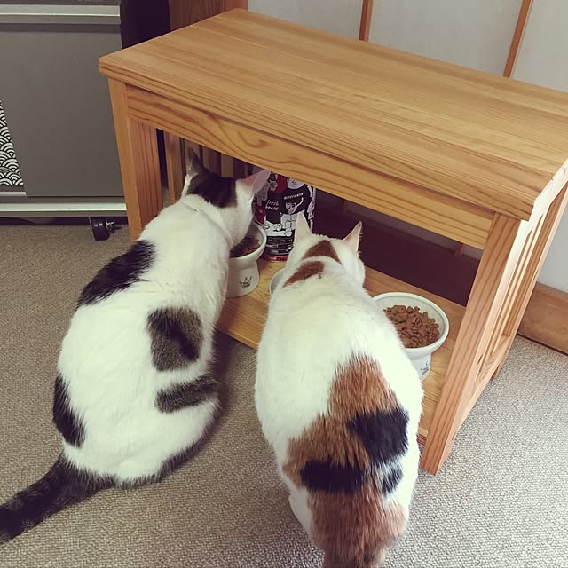 yocchiさんの実例写真