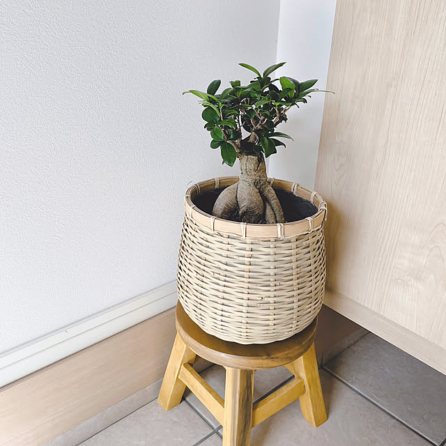 erikaさんの部屋