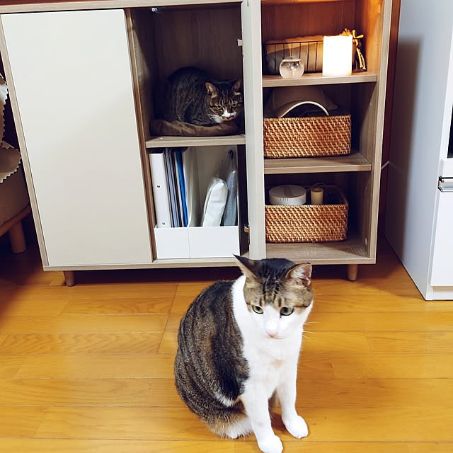 nachiさんの部屋