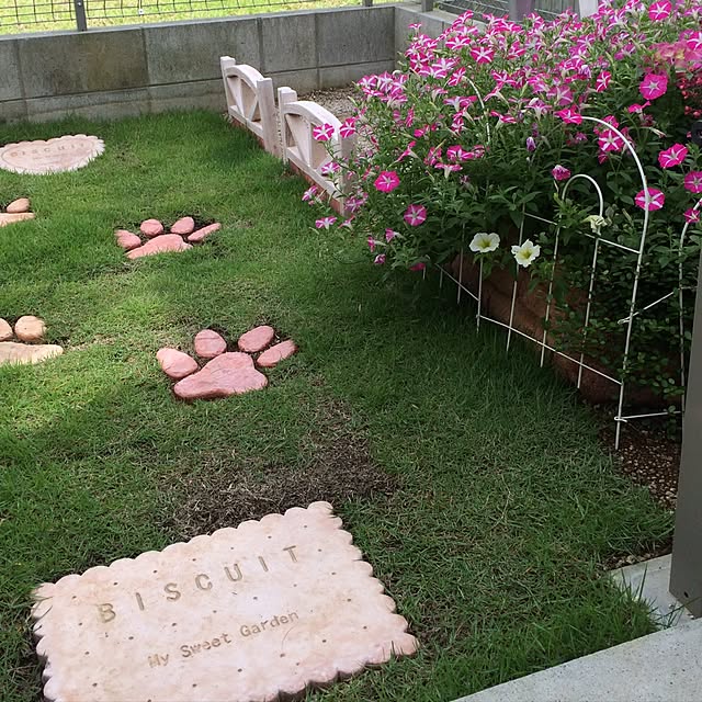 mikan0607さんの実例写真