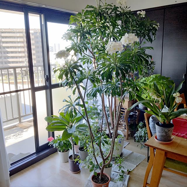 reko639さんの部屋