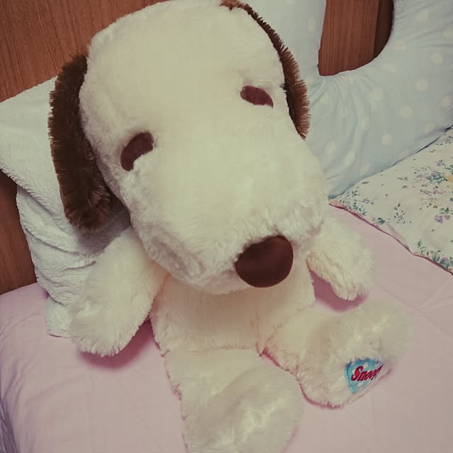Yukirinさんの実例写真
