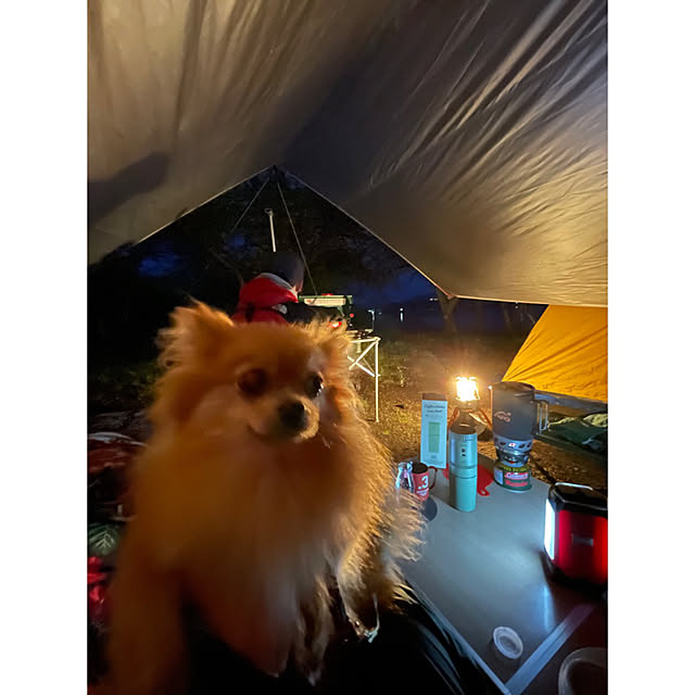 ramuさんの実例写真