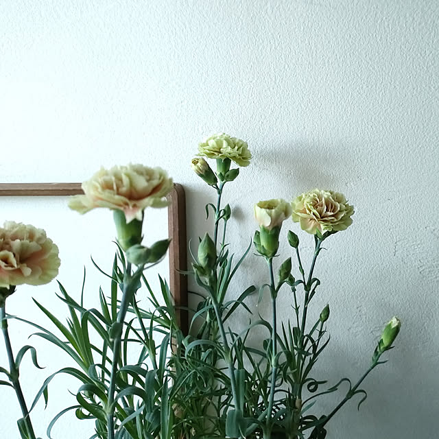 hana-さんの実例写真
