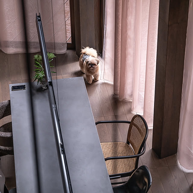 リビング/シェルチェア/イームズ/スタンダードチェア/ジャンプルーヴェ...などのインテリア実例 - 2026-01-11 22:14:32