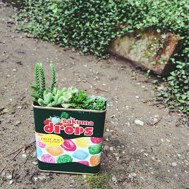 Fellowさんの実例写真