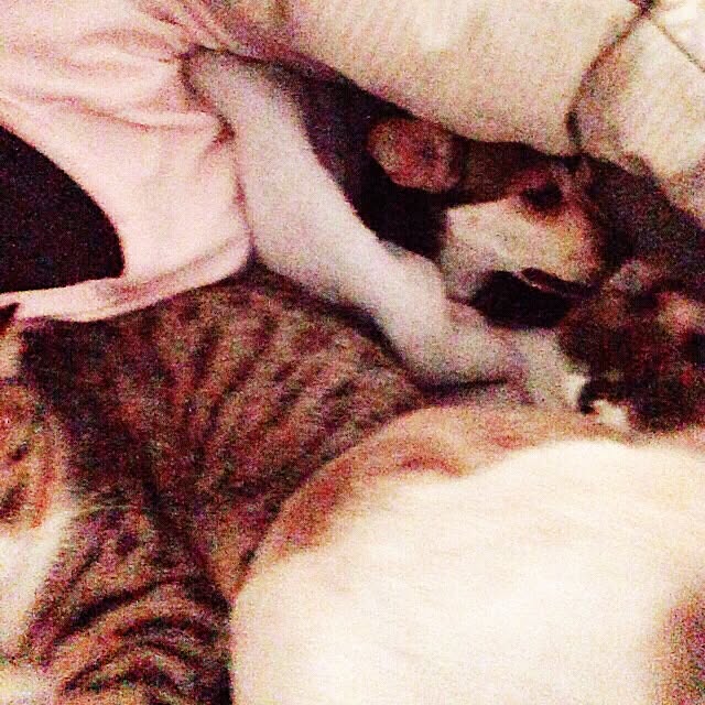 muwaさんの実例写真