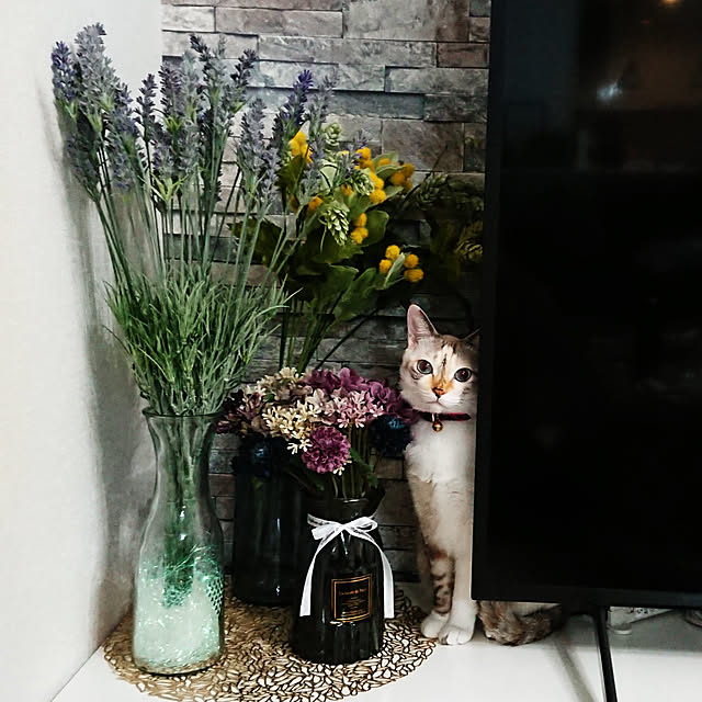 kohakuさんの実例写真