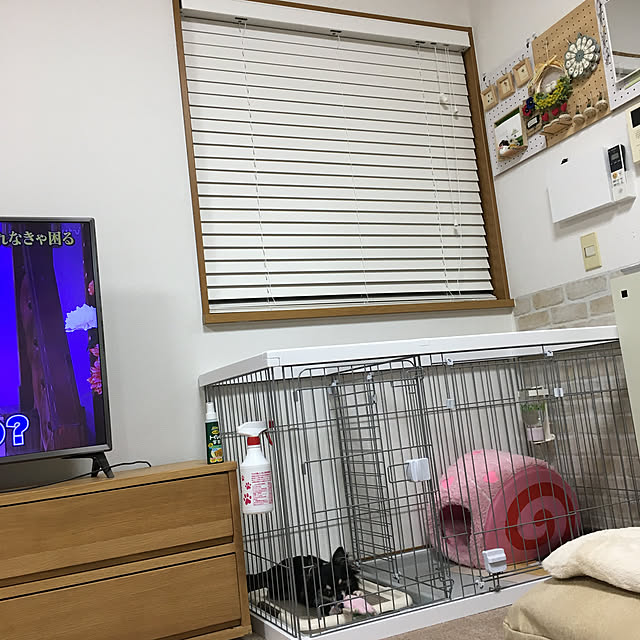 koroさんの実例写真