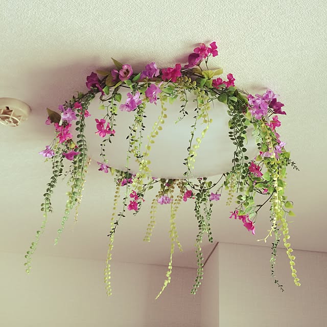 scabiosa1982さんの実例写真