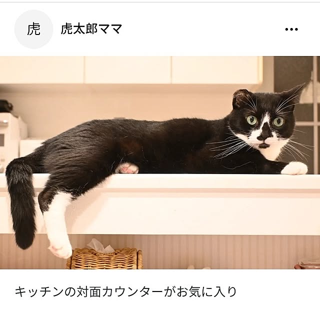 Marikoさんの実例写真