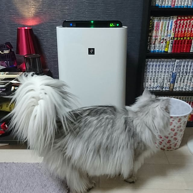 sasukeさんの実例写真