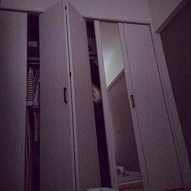 miaoさんの実例写真
