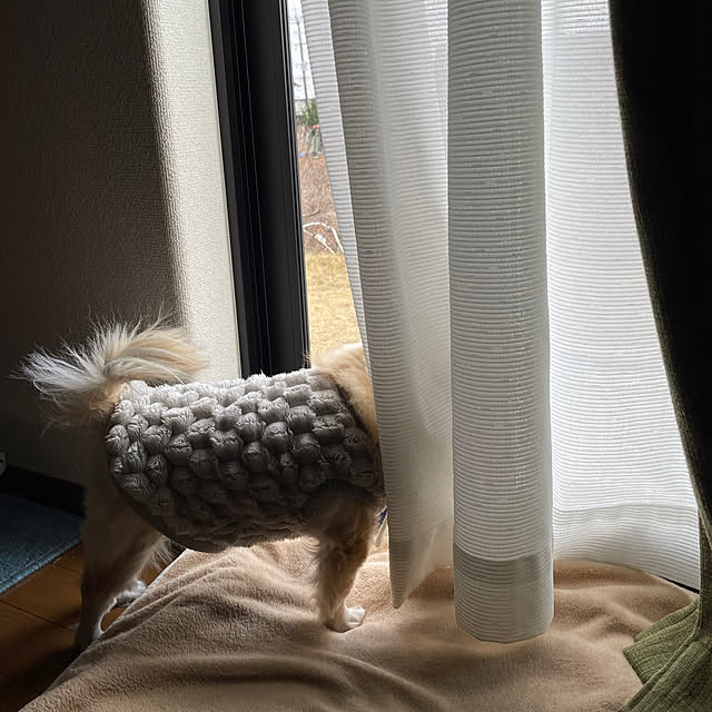 natsumiさんの部屋