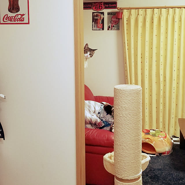 lemoned1126さんの実例写真