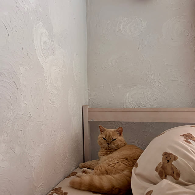 naokoさんの部屋