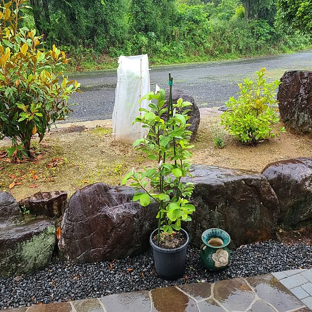 Rubiconさんの部屋