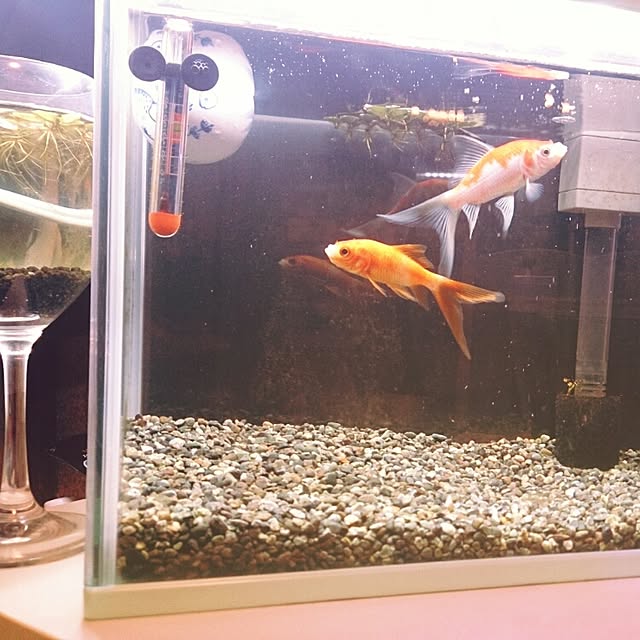 yumiさんの実例写真