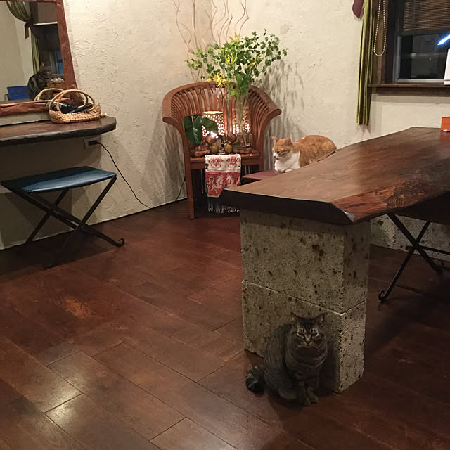 6catさんの実例写真