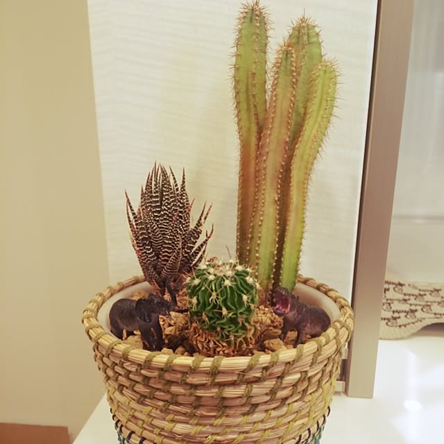 hiromixさんの実例写真