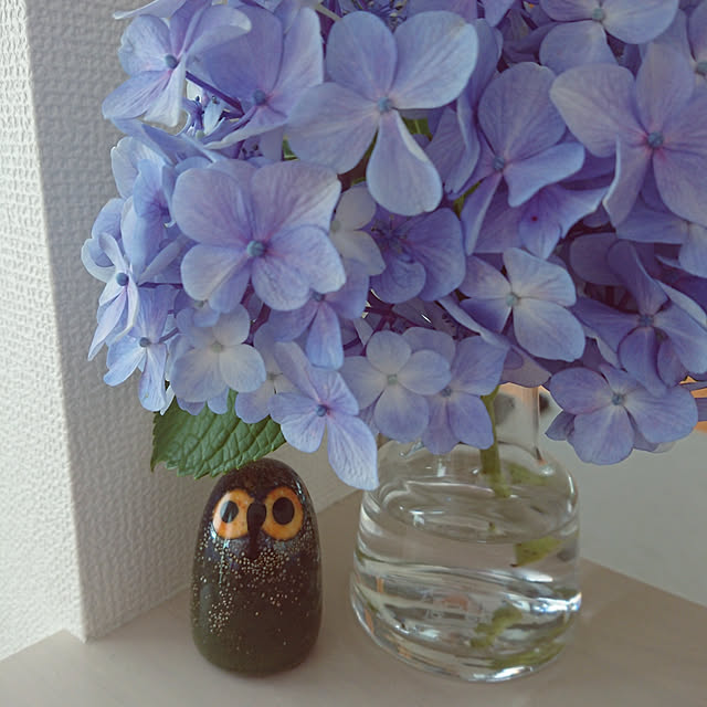 an-juさんの実例写真