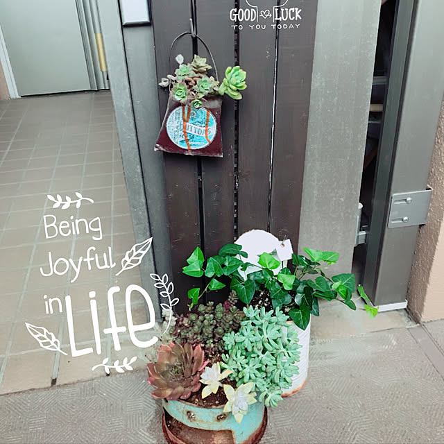 玄関/入り口/多肉植物/ガーデニングのインテリア実例 - 2018-05-20 20:39:38