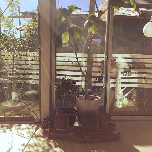 suntrapさんの実例写真