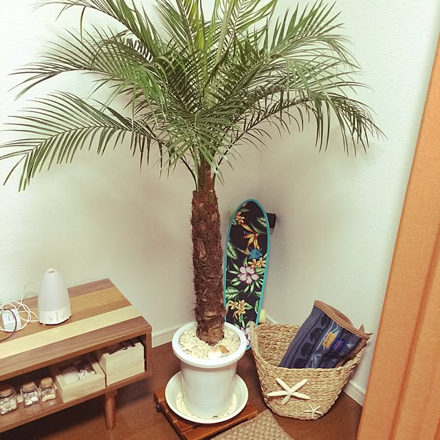 Tomominさんの実例写真