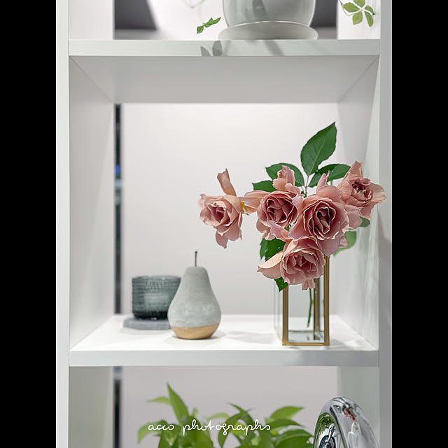 An.さんの実例写真