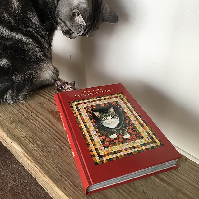mikomaruさんの実例写真