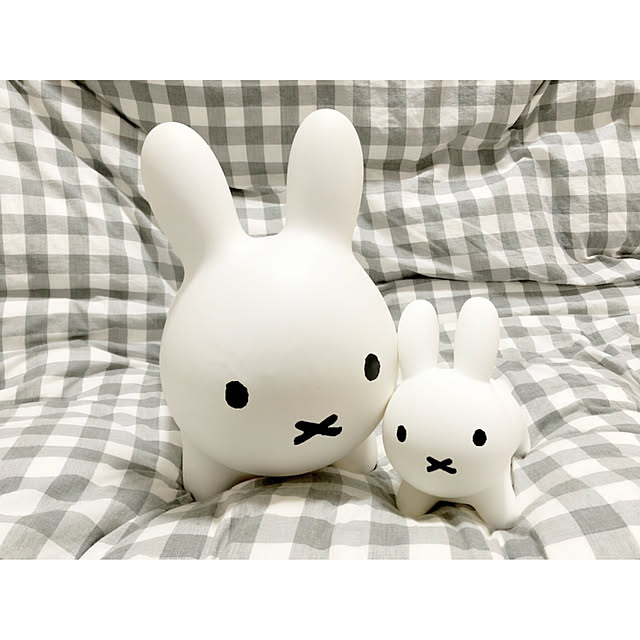 erityさんの実例写真