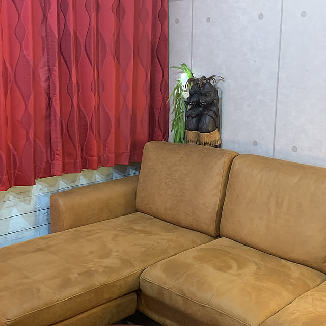 Soraさんの実例写真