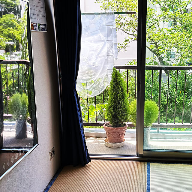 syutmmさんの実例写真