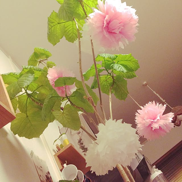 masamasaさんの実例写真