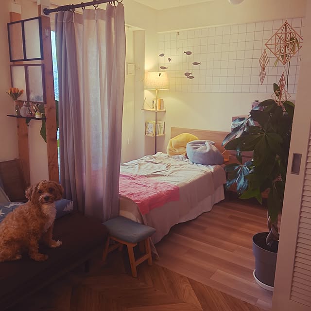 yukiさんの実例写真