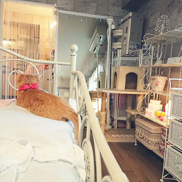 asuminさんの実例写真