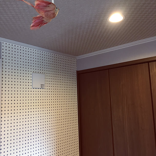 amepuliさんの実例写真