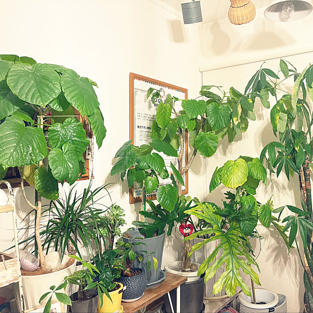 hirariさんの実例写真