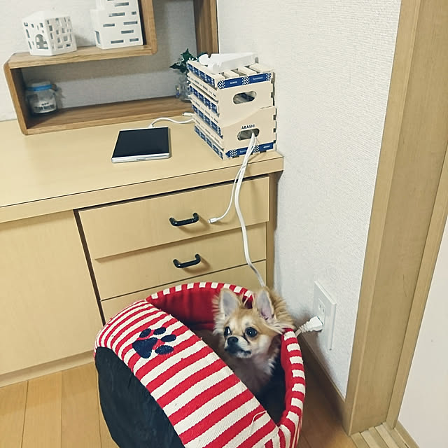 nattimomoさんの実例写真
