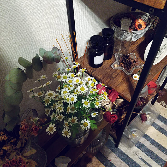 pinkoさんの実例写真