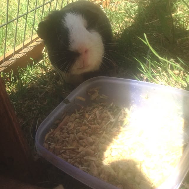 実例写真