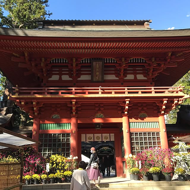 実例写真
