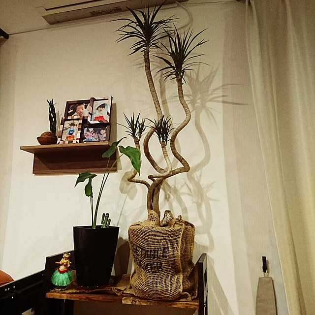 katcaさんの実例写真