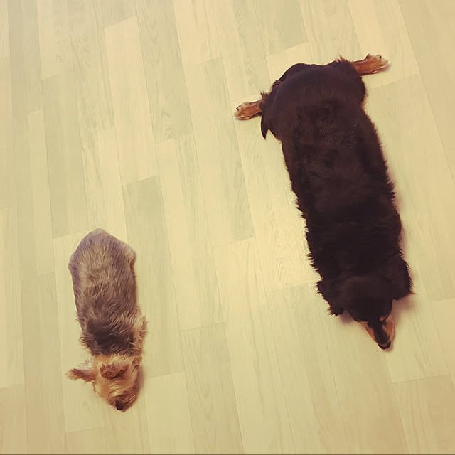 ohanaさんの実例写真