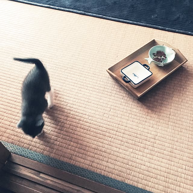 Mikiさんの実例写真