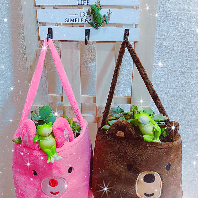 koyuriさんの実例写真